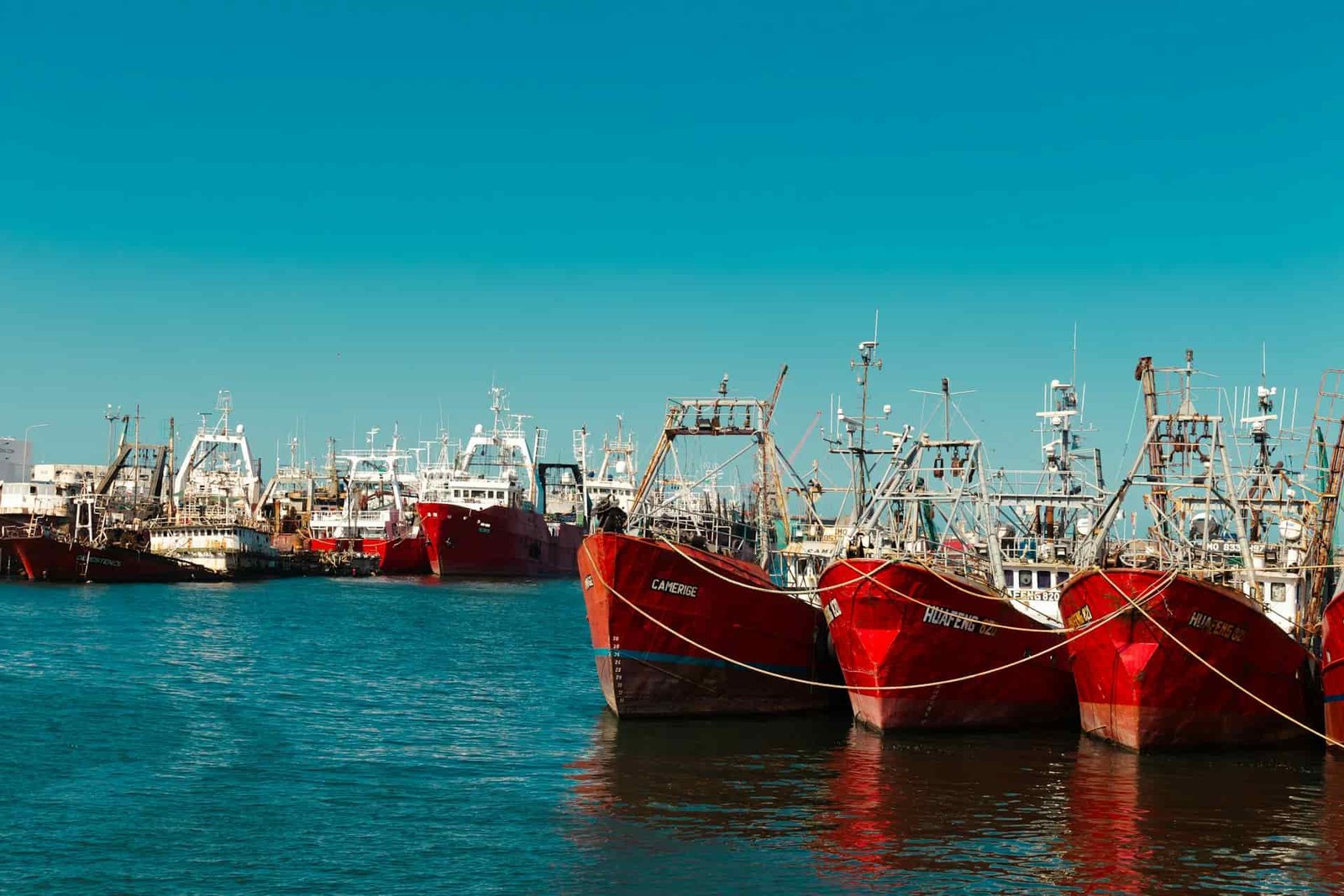 Flota pesquera en puerto - auditorías marítimas